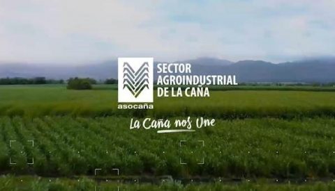 La Caña Nos Une